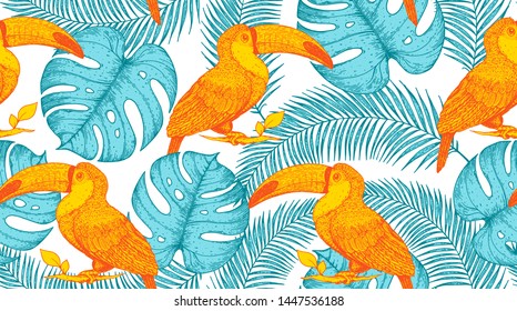 Seamless pattern with toucan and palm leaves. Hand drawn vector illustration. Tropical pattern. Jungle illustration.