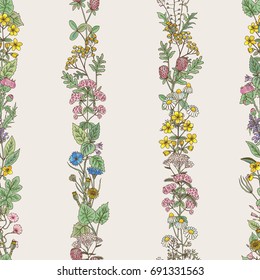 Seamless pattern of tracery of hand drawn herbs and field flowers