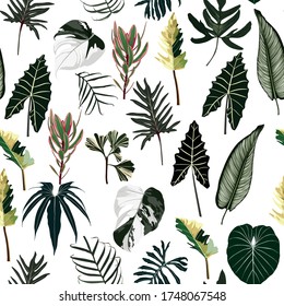 Seamless pattern with traditional home plant leaves, monstera, palm.  Tropical texture with many kind of leaves.