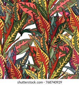 Seamless pattern with traditional homeplant Codiaeum. Endless texture with flower used indoor.