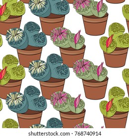 Seamless pattern with traditional homeplant lithops. Endless texture with flower used indoor.