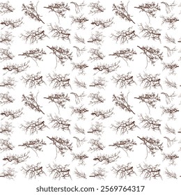 Seamless pattern. Tree branches on a white background.