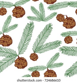 Seamless pattern tree twigs and cones painted line and colored on a white background. Tree, fir, pine cones, twigs. Vector illustration