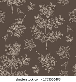 Nahtloses Muster mit tribulus terrestrischen Flächen: Blumen von tribulus terrestris, Ast und Blättern. Kosmetische und medizinische Pflanze. Vektorgrafik, handgezeichnet. 