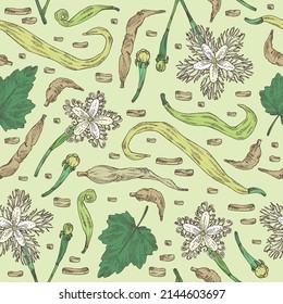 Seamless pattern with trichosanthes japonica: leaves, flower, plan and trichosanthes japonica root. Trichosanthes kirilowii. Cosmetic, perfumery and medical plant. Vector hand drawn illustration.