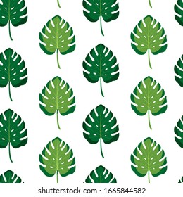 Seamless pattern with tropic leaves. Vector illustration of summer on white background. Exotic wallpaper with green monstera leaves. For web design, banners, scrapbooking, printing on fabric, wrapping