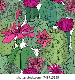 Patrón sin foco con plantas succulentas y cactus tropicales. Color púrpura y verde, flores exóticas y plantas