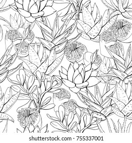 Seamless pattern with tropic succulent plants and cactus. Black and white contour monochrome.