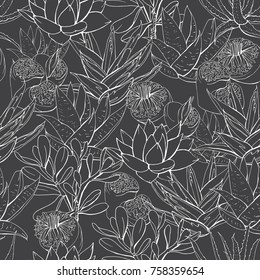 Seamless pattern with tropic succulent plants and cactus. Black and white,contour,monohrome.