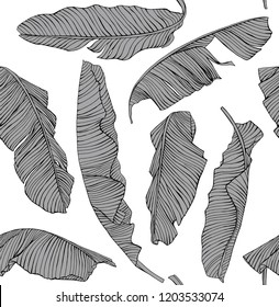 Seamless pattern. Tropical banana and exotic palm leaves. Textile composition, hand drawn style print. Vector black and white illustration.