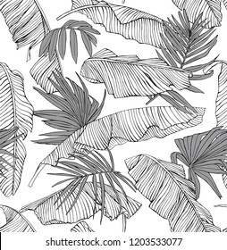 Seamless pattern. Tropical banana and exotic palm leaves. Textile composition, hand drawn style print. Vector black and white illustration.