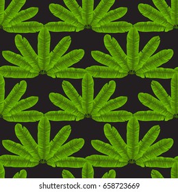 Seamless pattern of tropical banana green leaves fan isolated on black. Tropical wallpaper, textile print, exotic background.