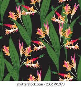 Seamless pattern tropical beautiful with bird of paradise flowers abstract background.Vector illustration drawing.For fabric design.