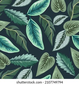 Seamless pattern with tropical beautiful leaves exotic background.