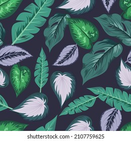Seamless pattern with tropical beautiful leaves exotic background.