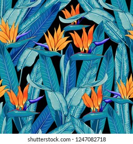 Seamless pattern tropical beautiful with orange color flowers on isolated black background.Vector illustration drawing doodle.