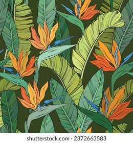 Seamless pattern with tropical bird of paradise flowers and leaves of Strelitzia Reginae on dark background. Hand drawn vector illustration.