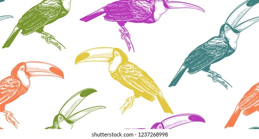 Seamless pattern with tropical birds toucans. Vector illustration. Exotic motifs of nature wildlife. Colorful template for the design of fabrics, textile, paper, wallpaper.