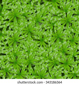 seamless pattern of tropical carpet grass