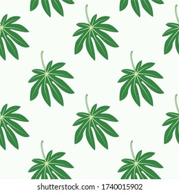 Patrón sin foco con hojas tropicales de yuca sobre fondo blanco. Ilustración botánica