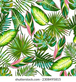 Seamless pattern with tropical colorful leaves on a white background. Palm leaves, monstera, calathea stromantha, Philodendron, dieffenbachia, alocasia. Cartoon style. Vector illustration.