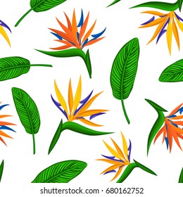 seamless pattern with tropical exotic flower bird of paradise, strelitzia and leaves. floral plant foliage repeatable endless texture
