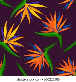  seamless pattern with tropical, exotic strelitzia, bird of paradise, crane flower. endless floral repeatable texture
