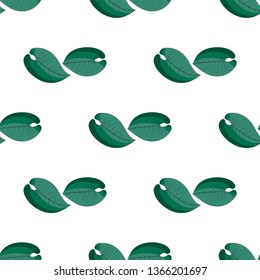 Seamless pattern with tropical exotical leaves. Light and dark green colors. Philodendron in couple. Print on white background. Vector illustration.
