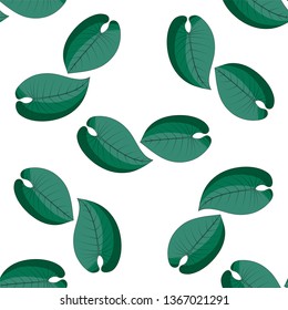 Seamless pattern with tropical exotical leaves. Light and dark green colors. Philodendron. Trendy pattern. Print on white background. Vector illustration.