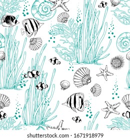 Seamless pattern with tropical fishes, shells and seaweeds. Hand drawn vector illustration on white background.