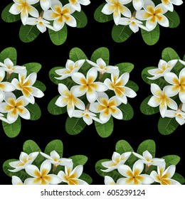 Seamless pattern of tropical flower plumeria and leaves. Tropic floral wallpaper on black. Background for wedding invitations, greeting cards, textile prints.