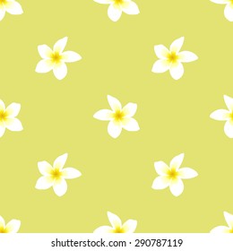 Seamless pattern with tropical flower white frangipani yellow mustard on a dark background