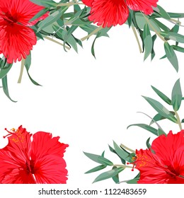 seamless pattern. tropical flowers.