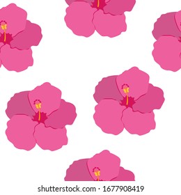 
Flores tropicales de forma transparente vector de hibisco