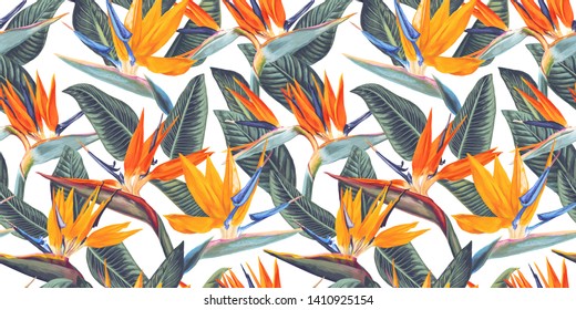 Seamless pattern with tropical flowers and leaves of Strelitzia, called crane flower or bird of paradise. Realistic style, hand drawn, vector. Background for prints, fabric, wallpapers, wrapping paper