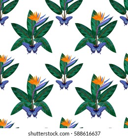 Seamless Pattern with tropical flowers and leaves of strelitzia and butterfly isolated on white background. Tropic floral wallpaper.