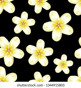 Seamless pattern with tropical flowers plumeria frangipani without leaf. Summer spring concept repeat pattern with tropic hawaii aloha symbol exotic plant. Great for wrap, textile, fabric, background.