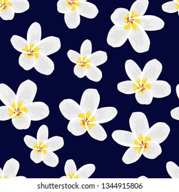 Seamless pattern with tropical flowers plumeria frangipani without leaf. Summer spring concept repeat pattern with tropic hawaii aloha symbol exotic plant. Great for wrap, textile, fabric, background.