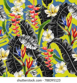 Seamless pattern with tropical flowers. Strelicia, plumeria and 