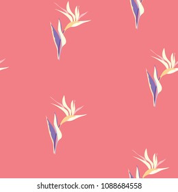 Seamless pattern with tropical flowers. Strelitzia.