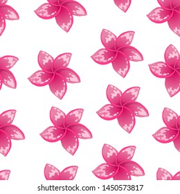 seamless pattern tropical flowers, vector , pink flowers on white background