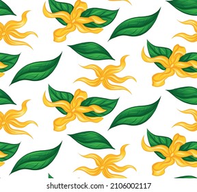 Seamless pattern with tropical flowers ylang ylang and foliage on white background. Vector texture with floral ornament in cartoon style. Natural wallpaper