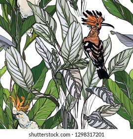 Seamless Pattern Tropical Forest Exotic Leaves with Jungle Birds Cockatoo and Hoopoe Hawaii Wild Life 