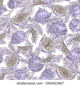 Seamless pattern with tropical fresh fig fruits and leaves on white background. Endless repeatable texture for printing and decoration. Colored hand-drawn vector illustration in vintage style