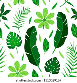 Seamless pattern with tropical green leaves. Vector illustration of summer on white background. Exotic wallpaper with monstera, palm leaves, passiflora.