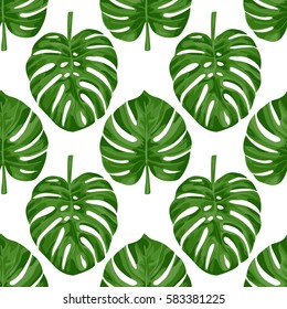 Seamless pattern of tropical green monstera leaves isolated on white. Tropical wallpaper, textile print, exotic background.