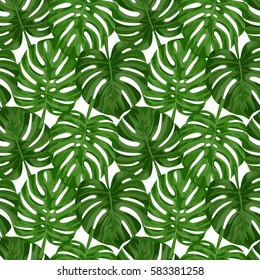 Seamless pattern of tropical green monstera leaves isolated on white. Tropical wallpaper, textile print, exotic background.