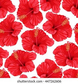 Seamless pattern of tropical hibiscus flowers. Vector illustration.