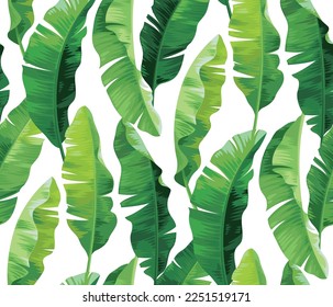 Patrón sin foco con hojas tropicales. Palmera de plátano. Ilustración botánica realista. Fondo del follaje vectorial.