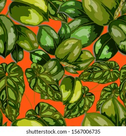 Seamless pattern with tropical leaves. Beautiful allover print with hand drawn exotic plants. Summer nature jungle print. Can be used for any kind of a surface design. Vector.